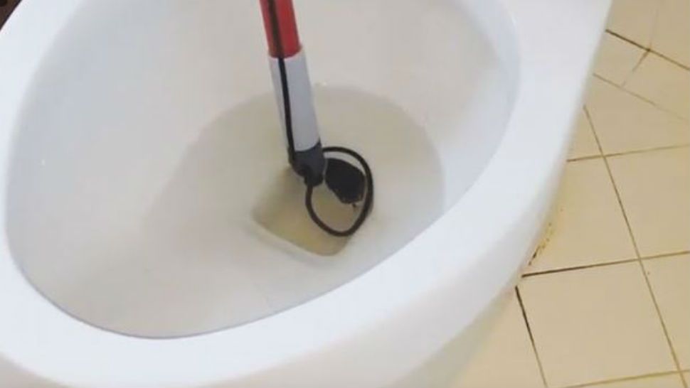 Ben Tedrick's makeshift lasso for the snake found in a toilet in Brazos County. Screenshot from Youtube Video