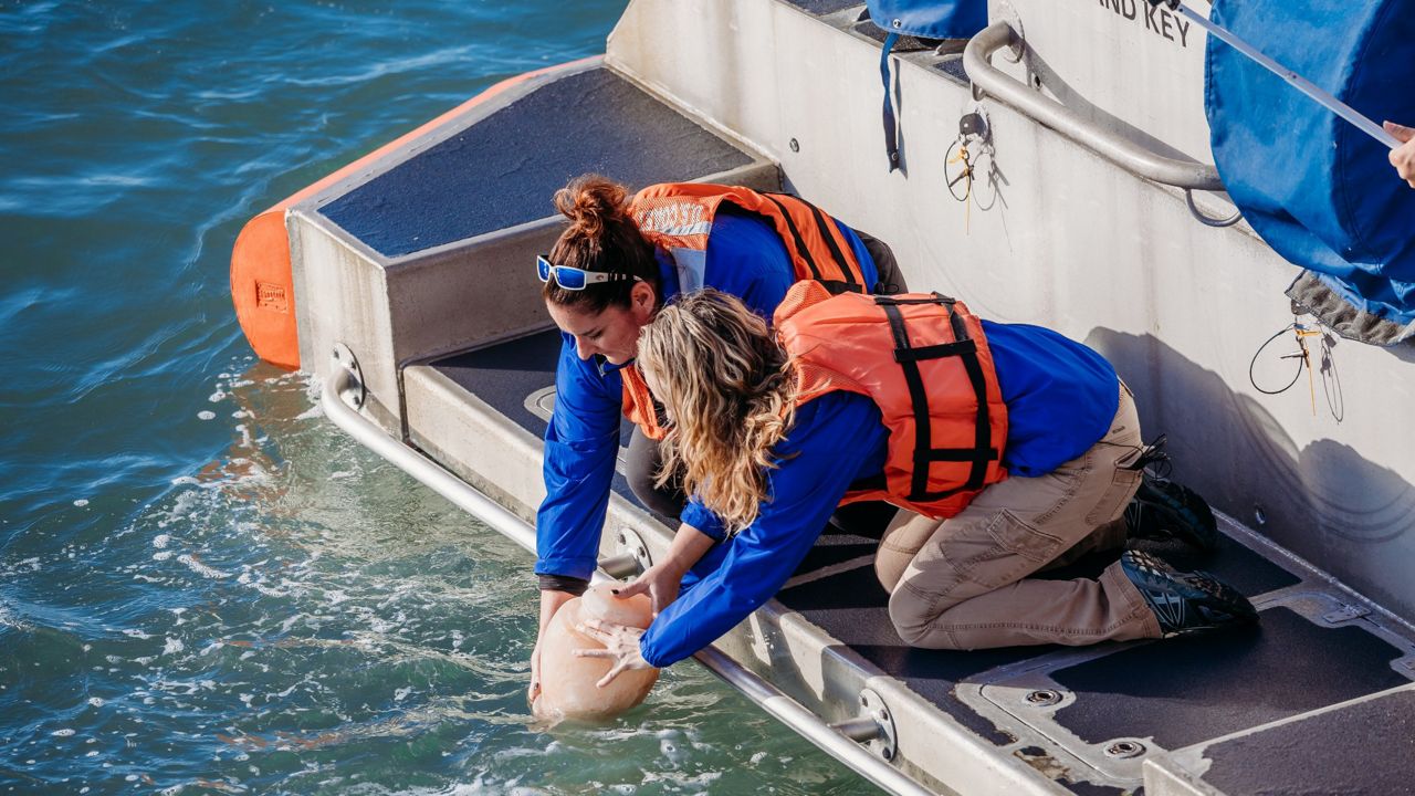 Ultimate Virtual Reality Experience - Clearwater Marine Aquarium