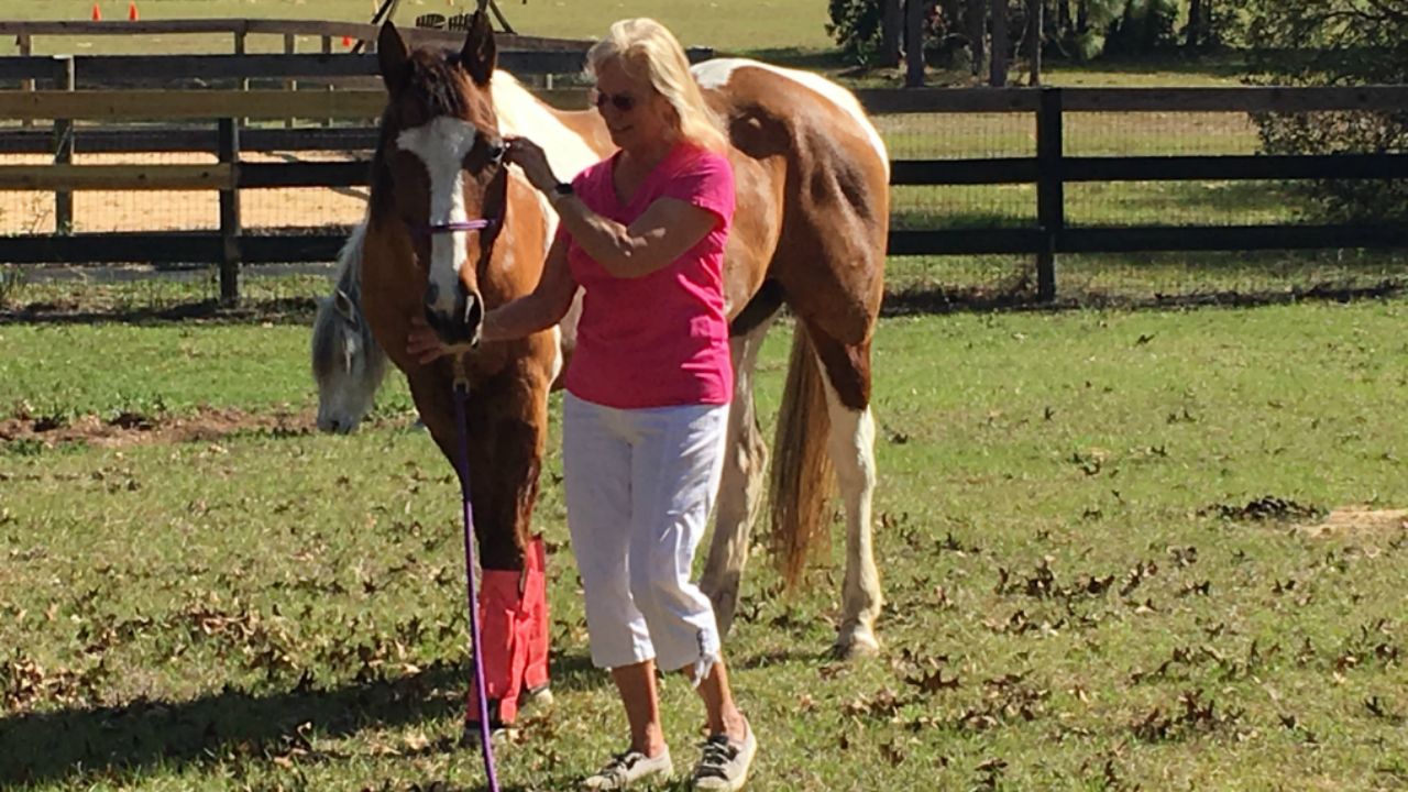 CCSO Warns Horse Owners