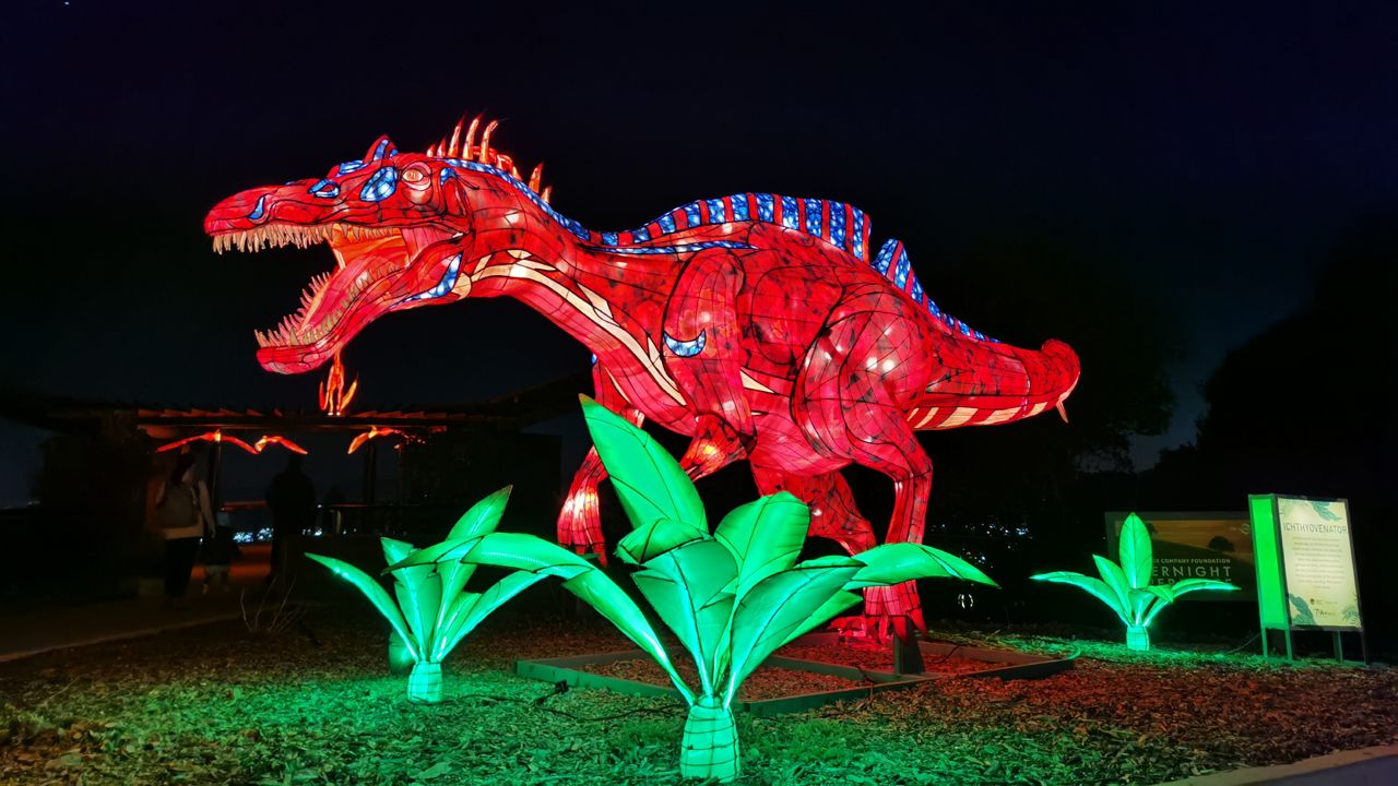 Louisville Zoo's "Wild Lights" Attraction to Return