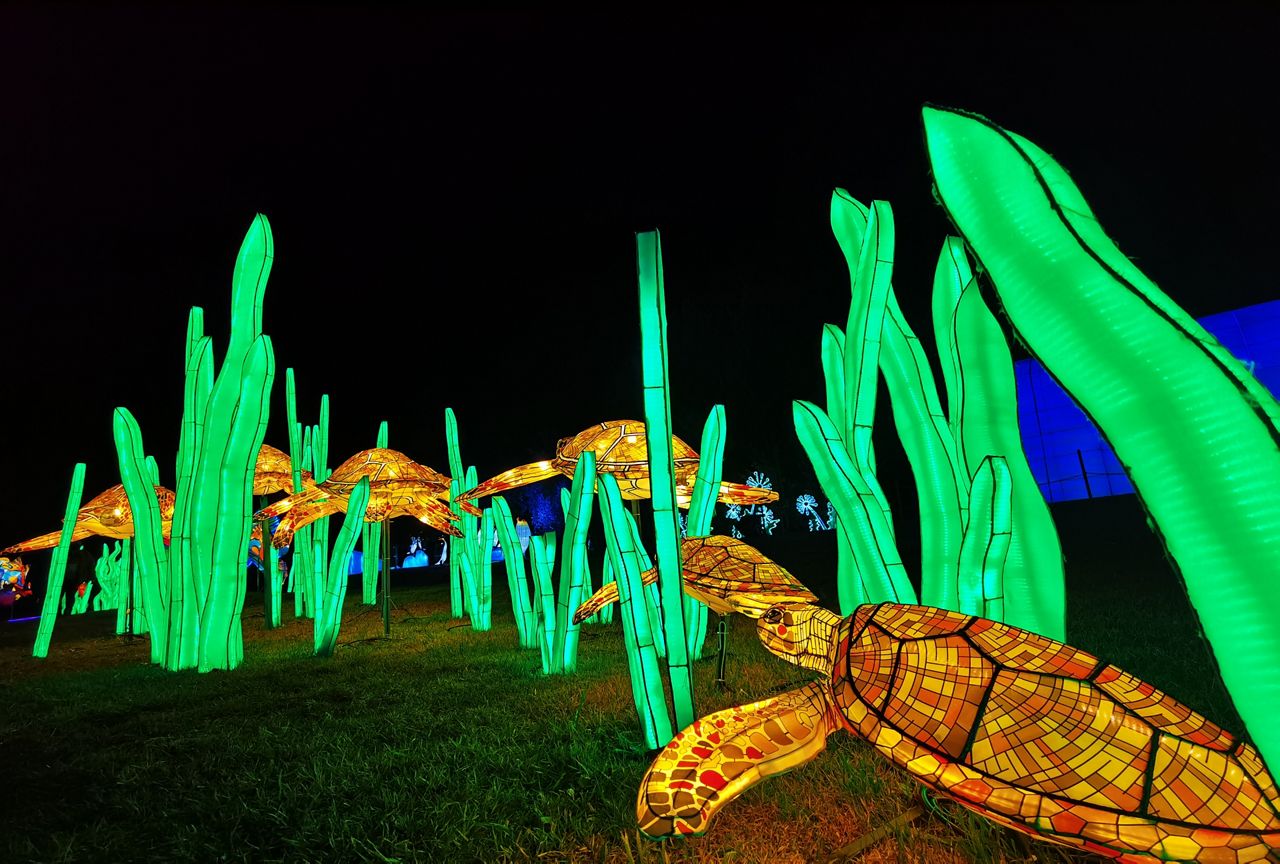 Louisville Zoo's "Wild Lights" Attraction to Return