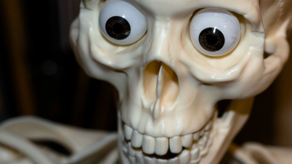 FILE- Skeleton. Image/Shaun Dunmall, Flickr