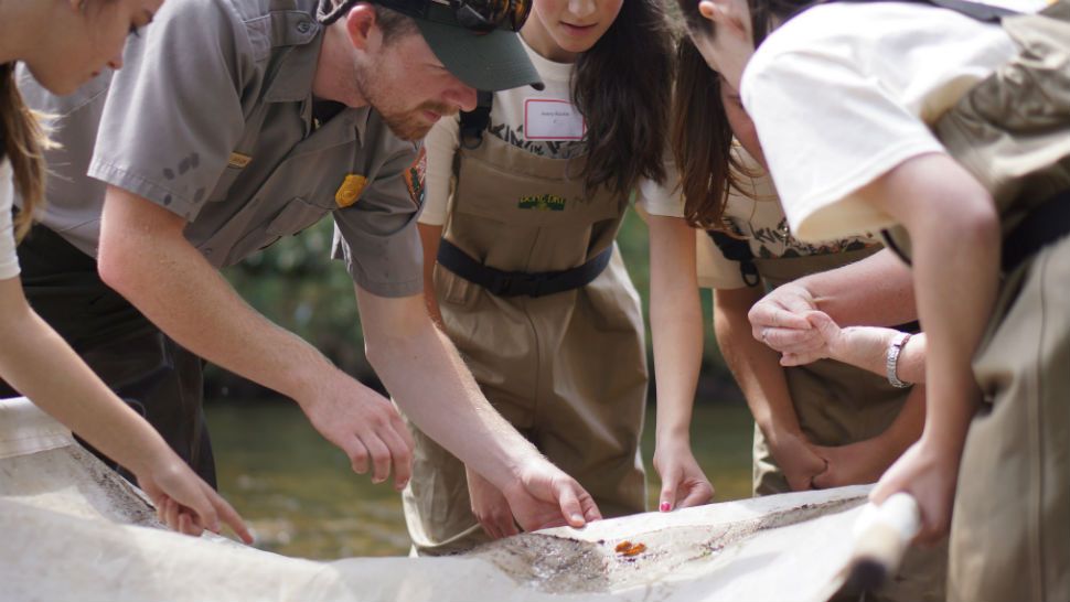 Western North Carolina’s Pigeon River, home to the endangered Appalachian elktoe mussel, is also home to an annual Kids in the Creek event, hosted by local watershed group Haywood Waterways. (Image/Gary Peeples/USFWS)