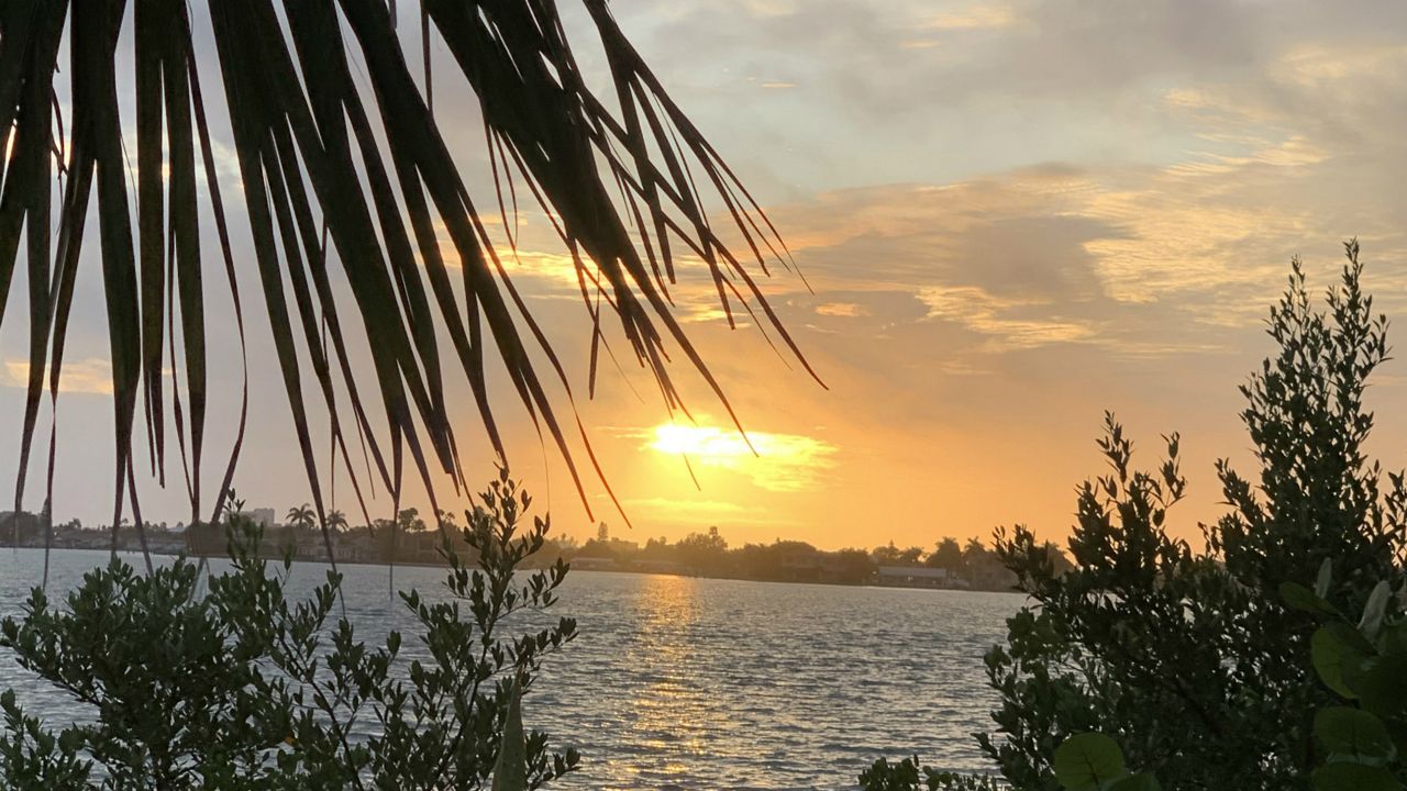 Sent to us with the Spectrum Bay News 9 app: An orange sun goes down near Park Street in St. Petersburg early Sunday evening. (Halida Mennicken/viewer)