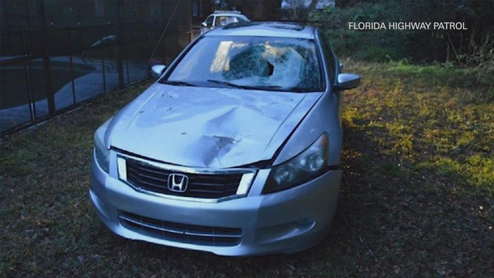 Troopers said a vehicle struck and killed a pedestrian, 73-year-old Gary Gogolowski in the southbound lane of US 301, near Ranch Road, around 11:30 p.m. on Saturday. (Courtesy of FHP)