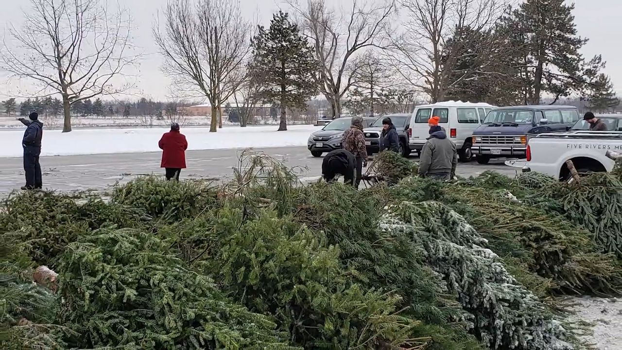 Sinking 500 Christmas Trees to the Bottom of the Lake