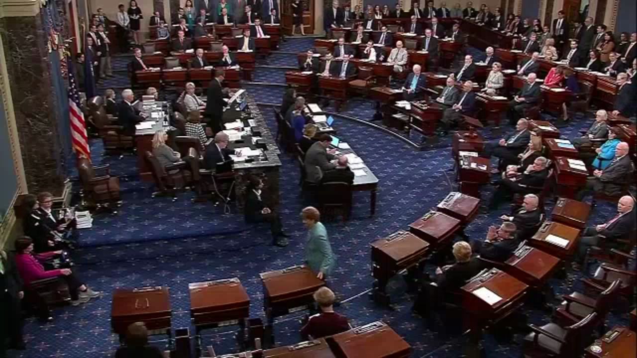 US Senate Rejects 2 Plans to End Govt Shutdown