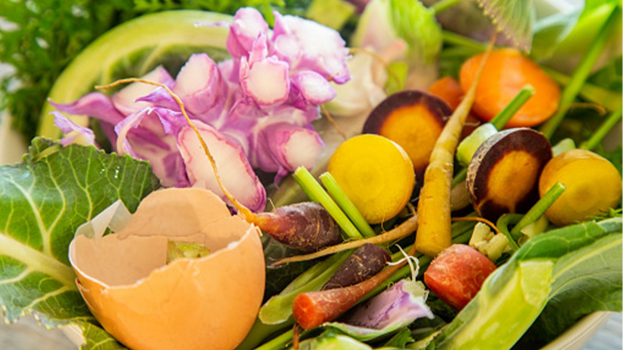 New food scrap collection program launches in Buffalo Daily Frontline