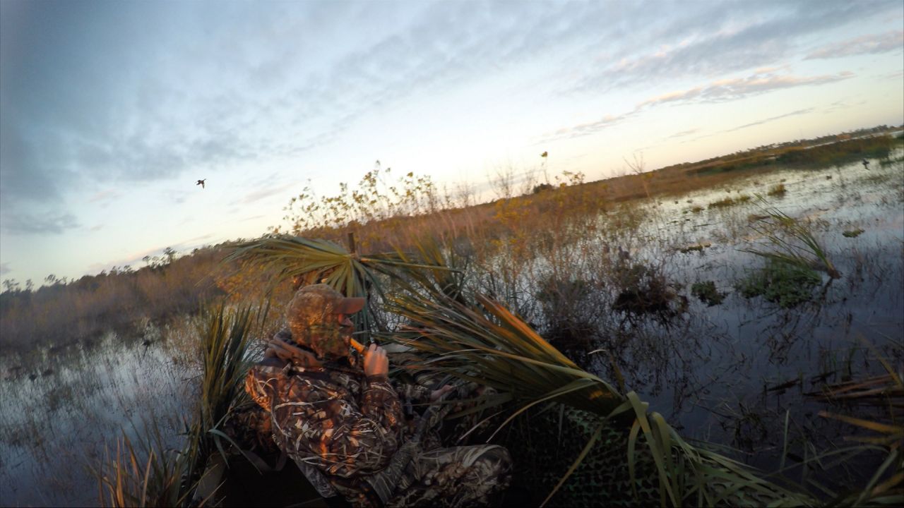 Travis Thompson, the executive director of All Florida, a conservation organization.