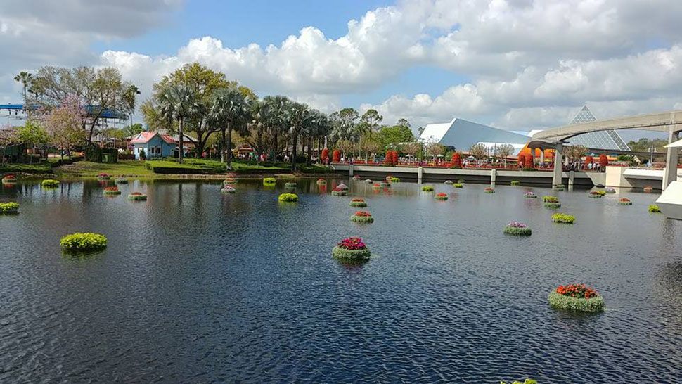 The Epcot International Flower & Garden Festival. (Ashley Carter/Spectrum News)