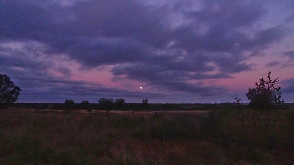 Moonrise seen from Davenport