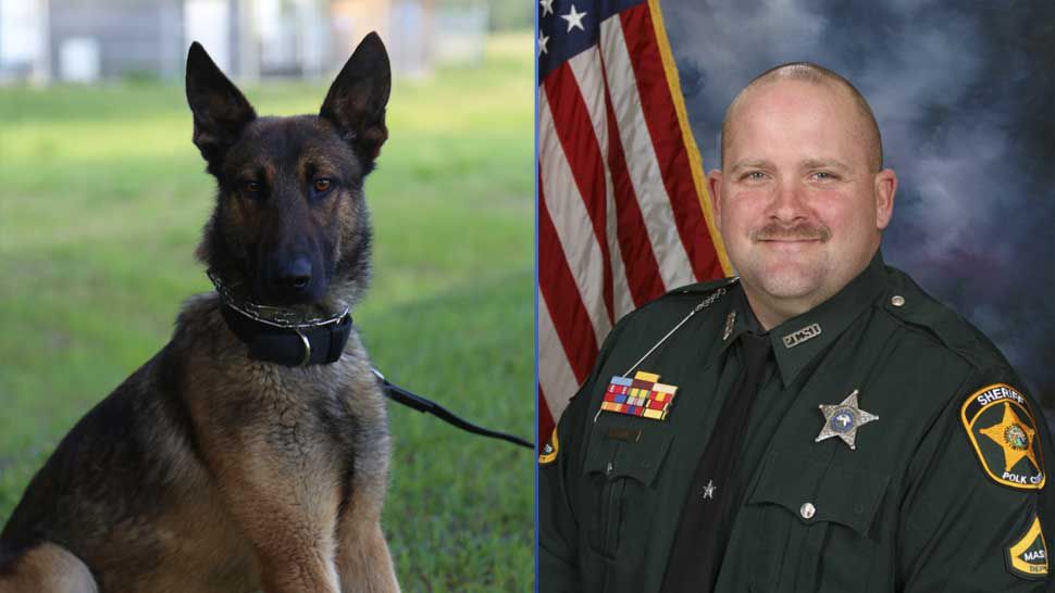 Polk County Sheriff's Office K-9 Recon is accused of hurting Sheriff's Office Deputy Scott Cronin. (Courtesy of Polk County Sheriff's Office)
