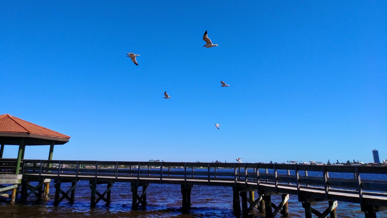 Submitted via the Spectrum News 13 app: It was a beautiful day on the Halifax River on Sunday, February 02, 2020. (Photo courtesy of Seth Dennis, viewer)