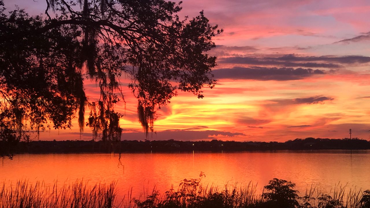 Orlando Area Weather Widely Scattered Showers Late Tonight