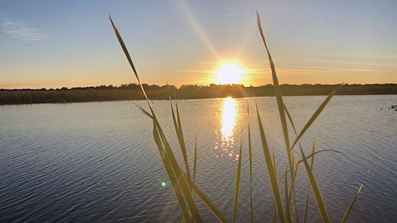 Florida on a Tankful Boggy Creek Airboat Adventures