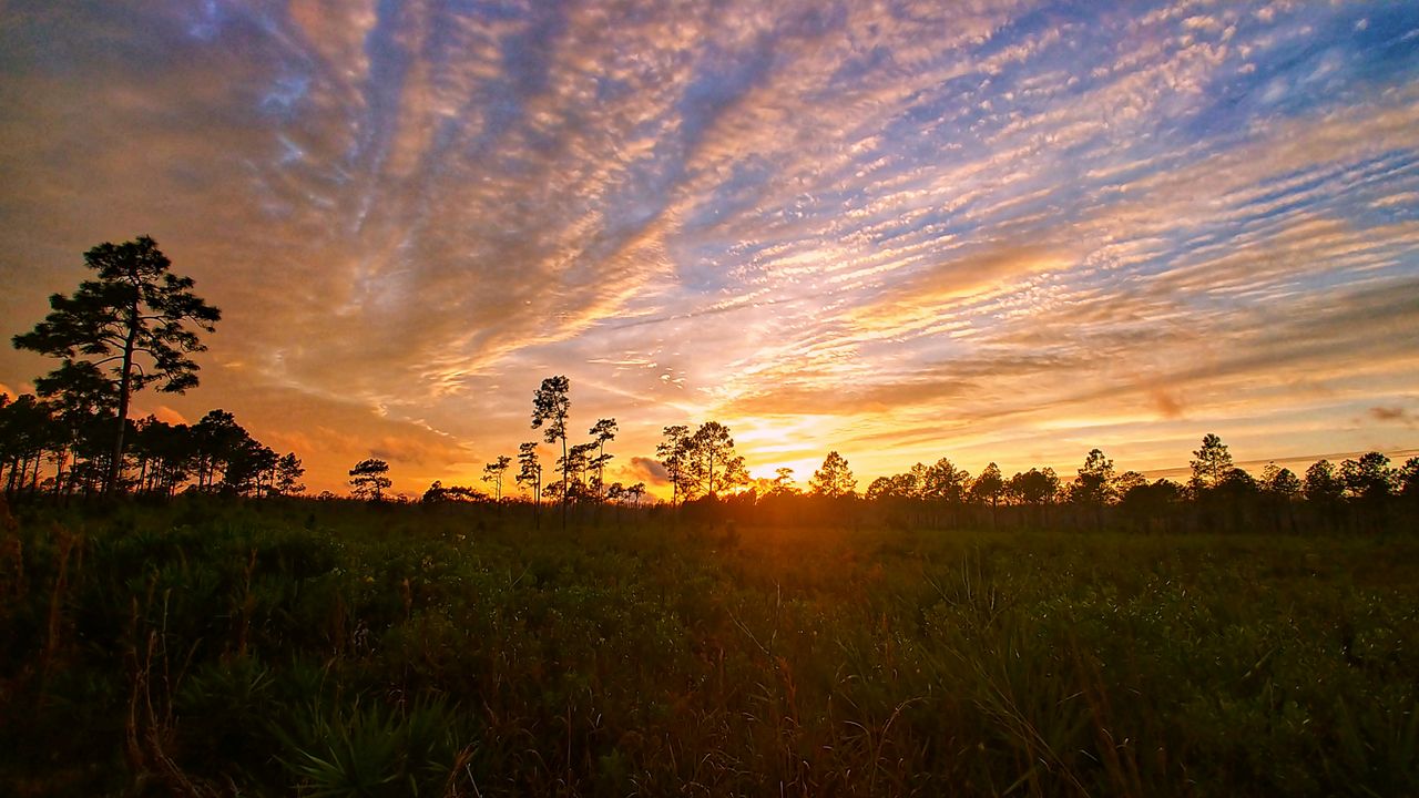 Weather Forecast More Sun on Sunday