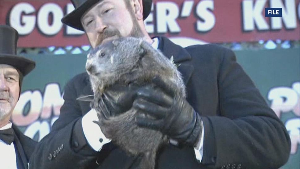 Good news, after a brutal week of winter weather for most of the country, Punxsutawney Phil has predicted an early spring! 