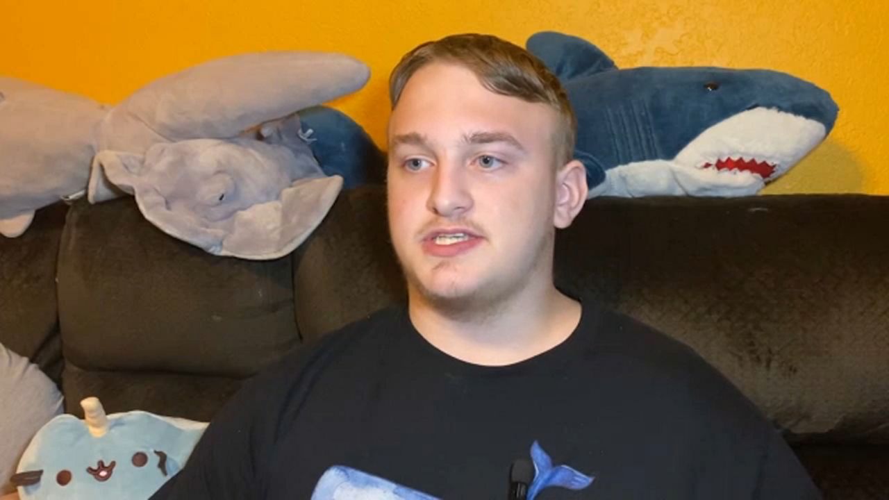 Tampa Bay teen starts petition to help save manatees - Vimarsana News