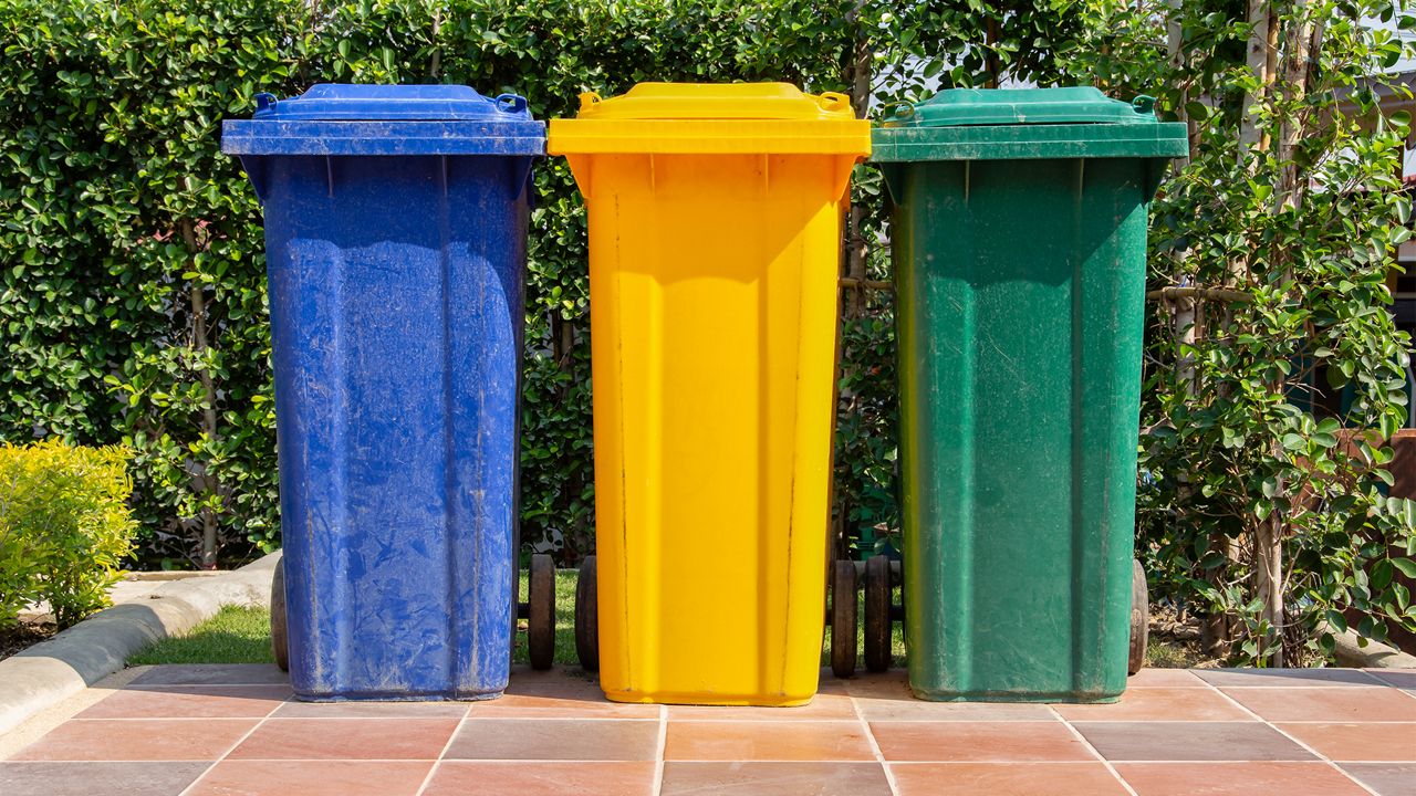 Recycling bins on the curb