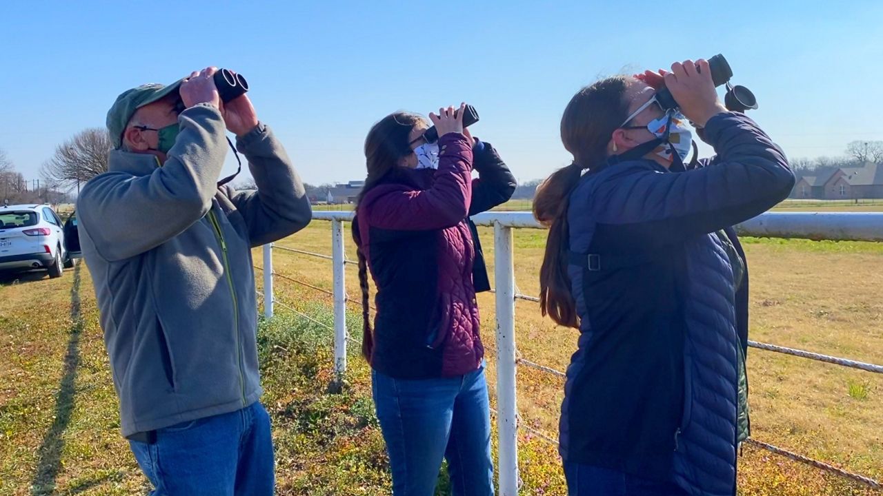 Dr. Jim Bednarz, UNT biology PhD student Kelsey Biles, and UNT undergraduate research assistant Heather Bullock bird gazing while searching for American kestrels. (Spectrum News 1/Lupe Zapata)