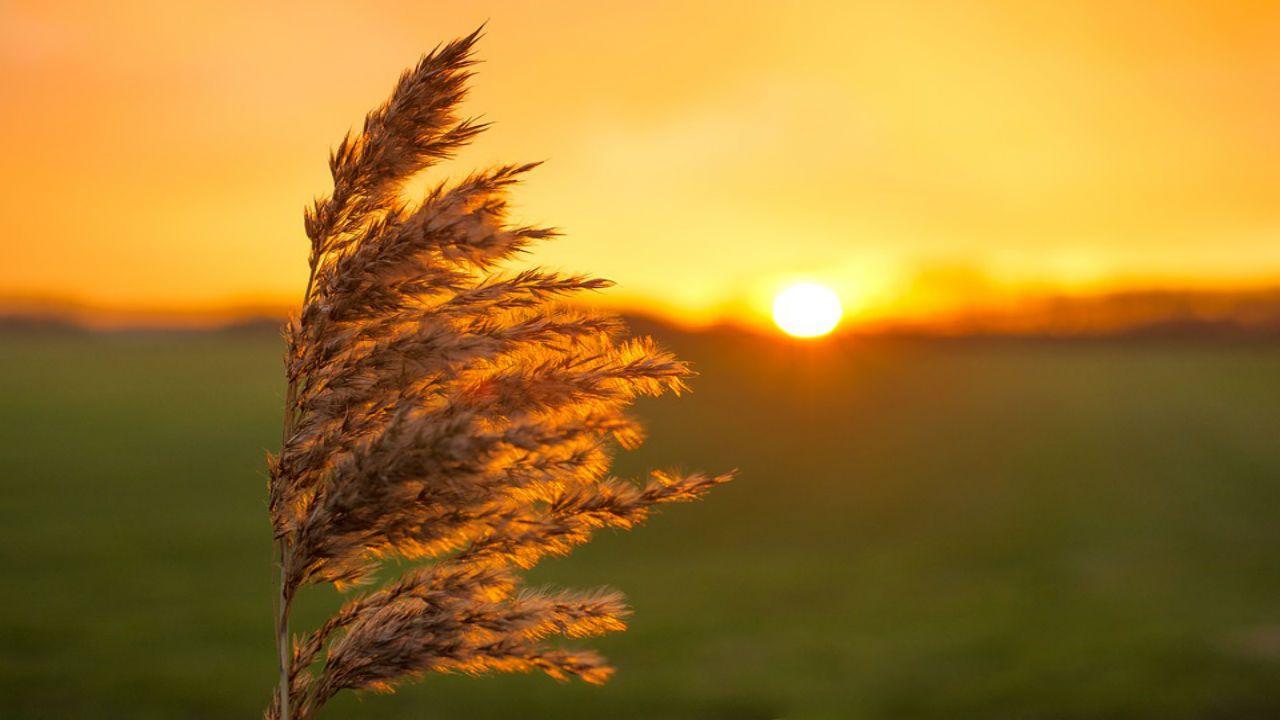 Knowing the wind direction often provide a "quick" forecast