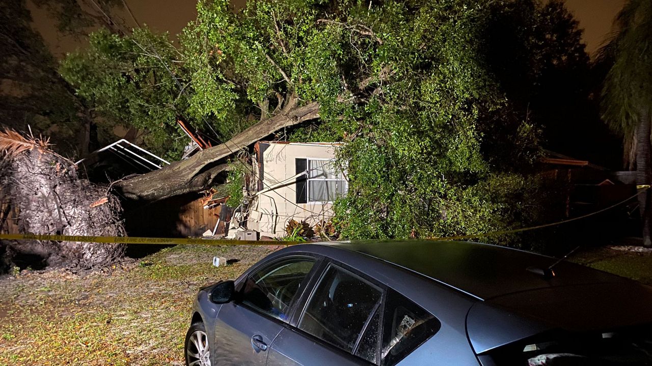 Tree downed on a single family house in Seminole, Thursday, February 06, 2020. Seven people were inside the house at the time. (Stephanie Claytor/Spectrum Bay News 9)
