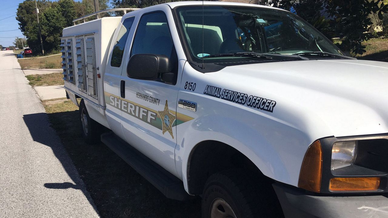 Hernando County Sheriff's Office Animal Services was outside a home in Spring Hill where a woman was attacked by a pack of loose dogs Friday. (Sarah Blazonis/Spectrum Bay News 9)