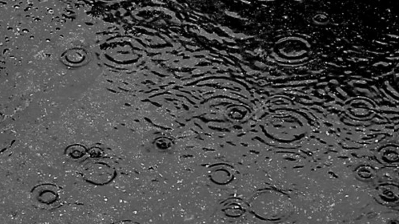Rain drop on the street
