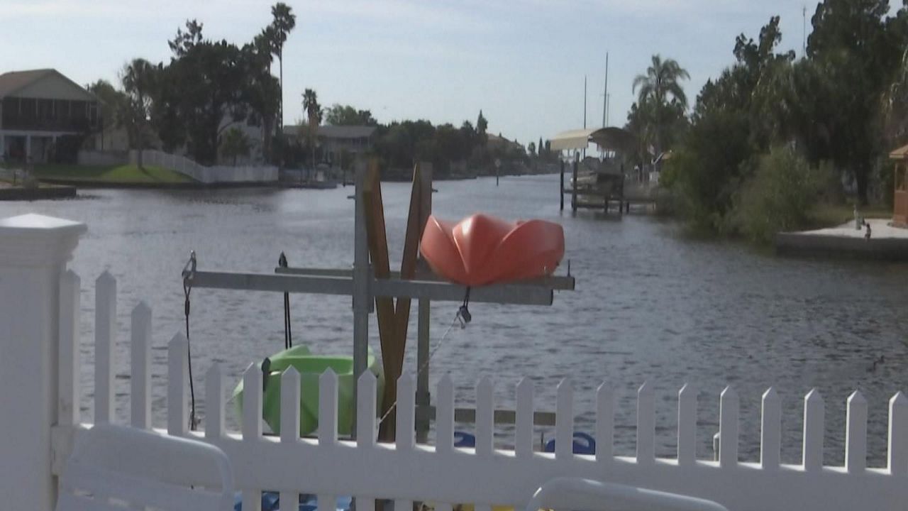 A new bill proposed by State Representative Ralph Massullo is looking to create an aquatic preserve along the coasts of Hernando, Pasco, and Citrus counties. (Spectrum Bay News 9)