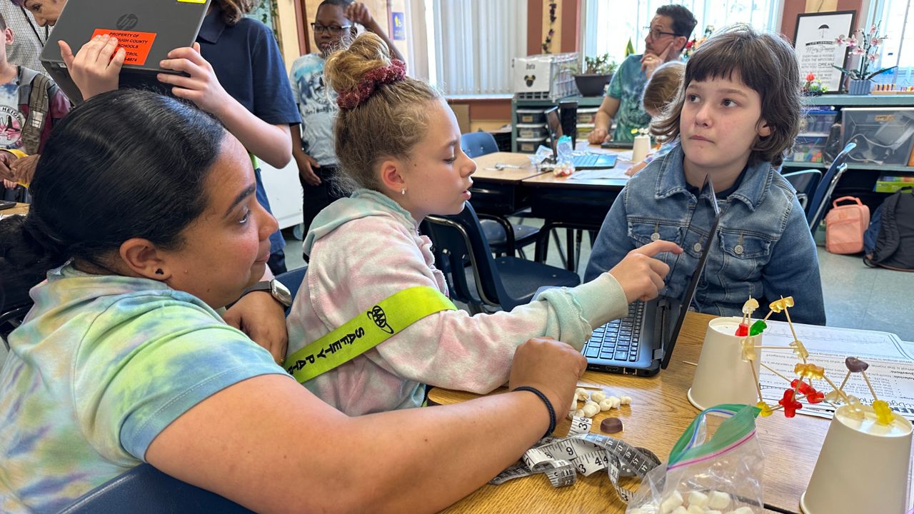 Hillsborough School's peer mentoring proves a success