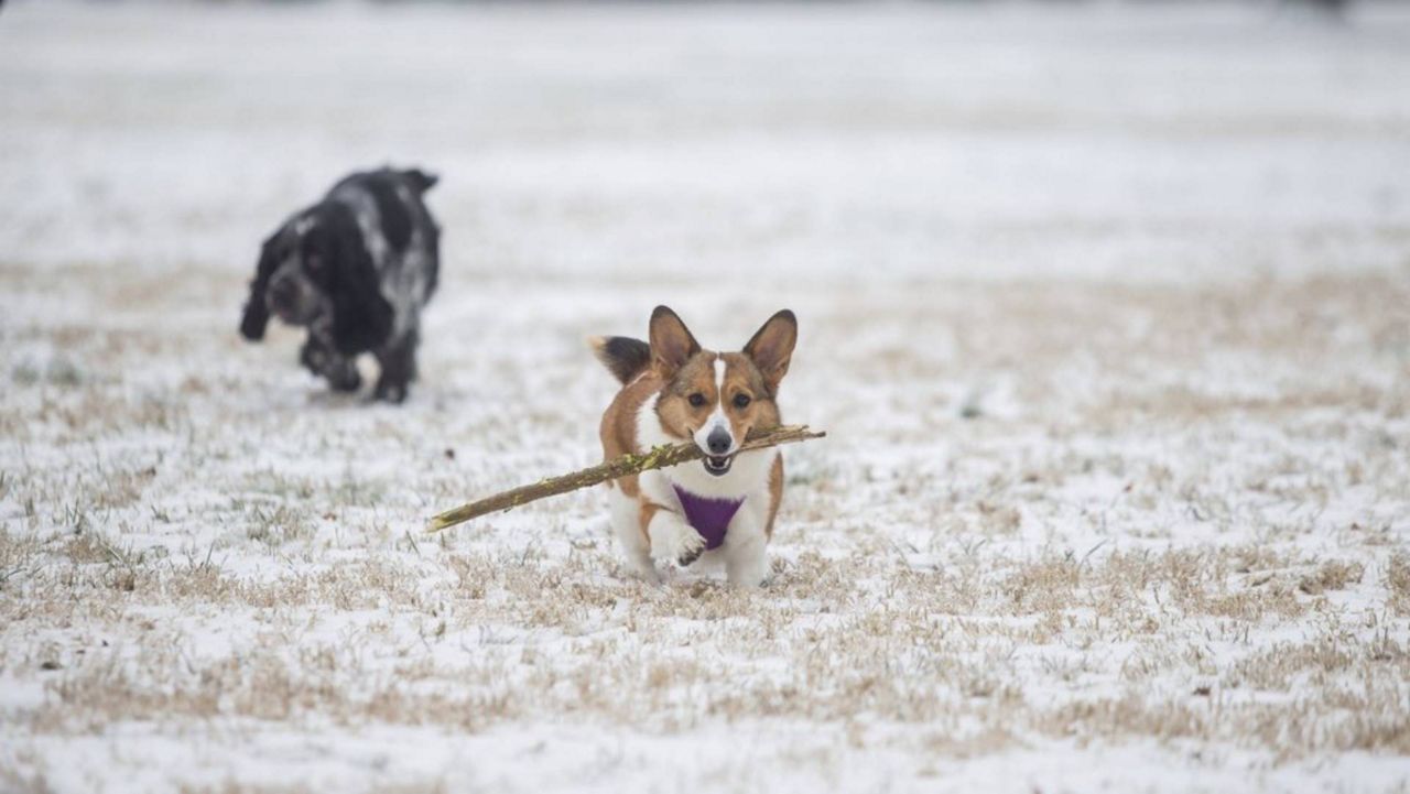 Live Updates: A Major Winter Storm Will Bring Lots of Snow To Kentucky