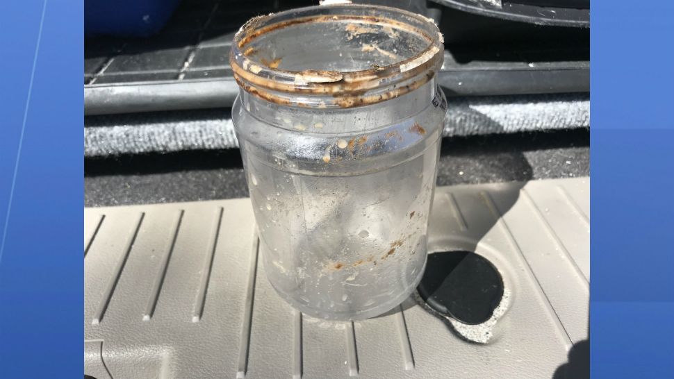 The plastic jar was safely removed, and the raccoon soon scurried away, unharmed. (Greg Pallone/Spectrum News)