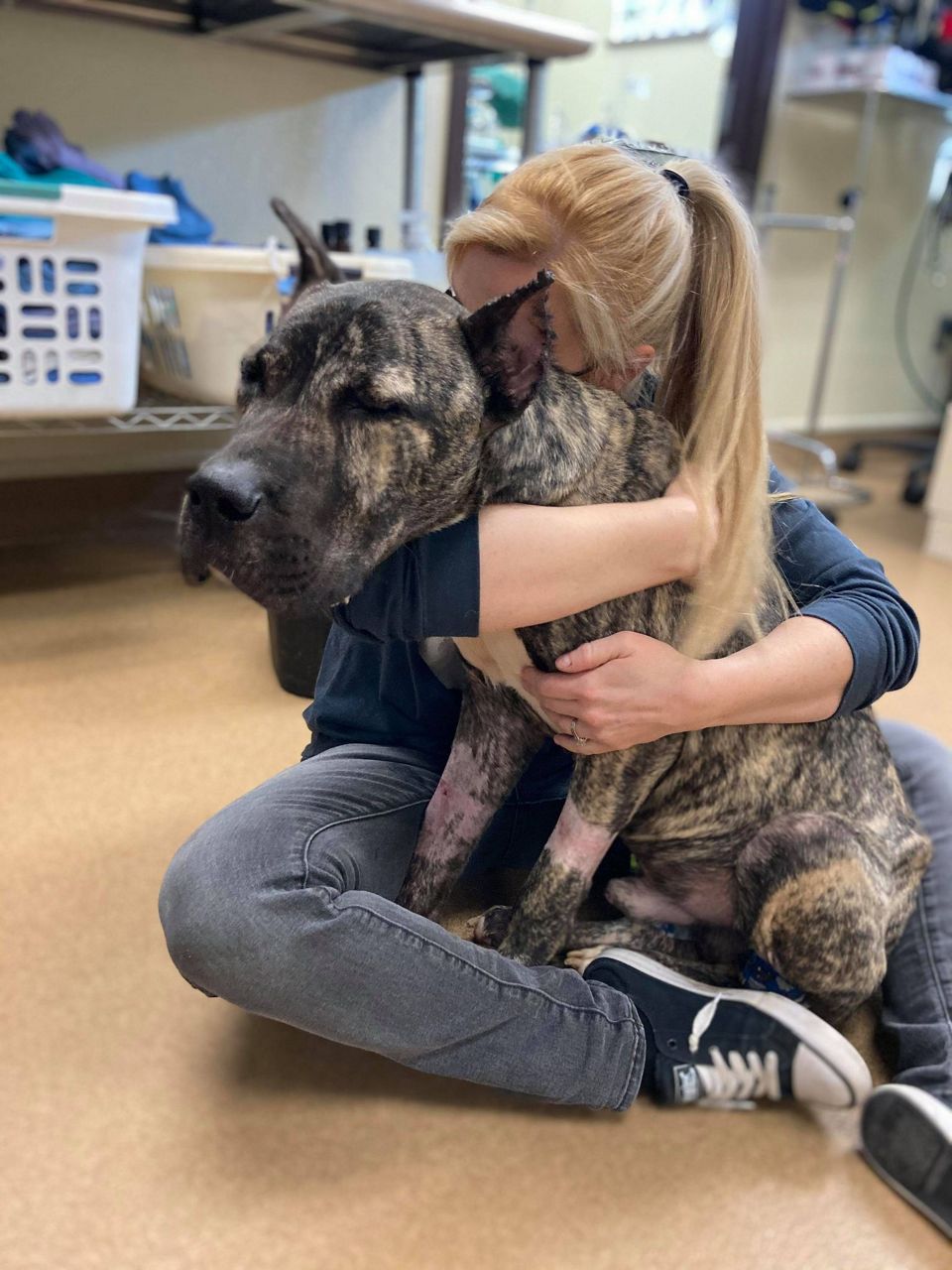 The story of EthanAlmighty is coming to the big screen