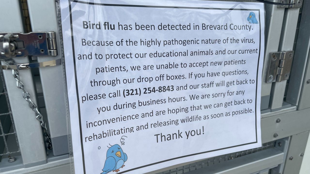 The Florida Wildlife Hospital has stopped accepting after-hours patients through their drop off boxes due to a large number of calls about sick and dying ducks near the Banana River and Indian River.