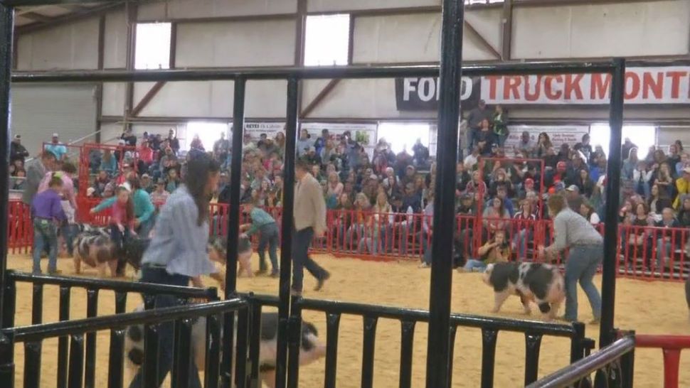 The Rodeo Develops the Youth of Texas