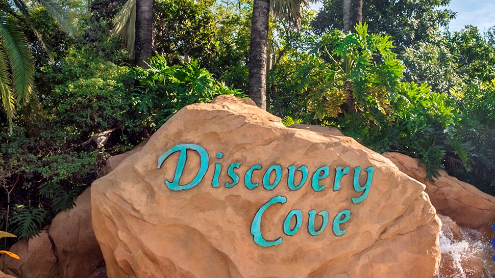 Discovery Cove Offering Florida Resident Deal