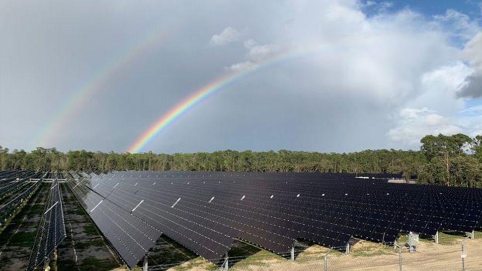 A new 270-acre, 50-megawatt solar farm is now providing power to Walt Disney World. (Courtesy of Disney)