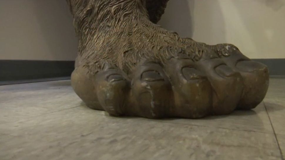 5 Times Bigfoot Was Seen Recently In Washington State