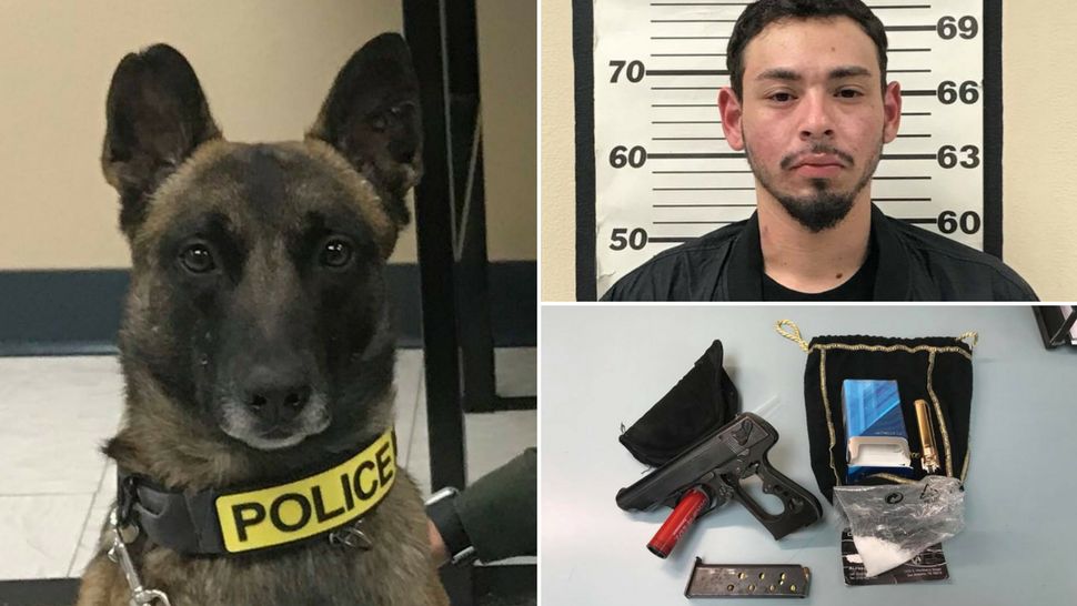 Pictured, left, Jake, the Kirby PD K9. Top right, suspect 26-year-old Tony Huron. Bottom right, paraphernalia seized. (Images/Kirby Police Dept.)