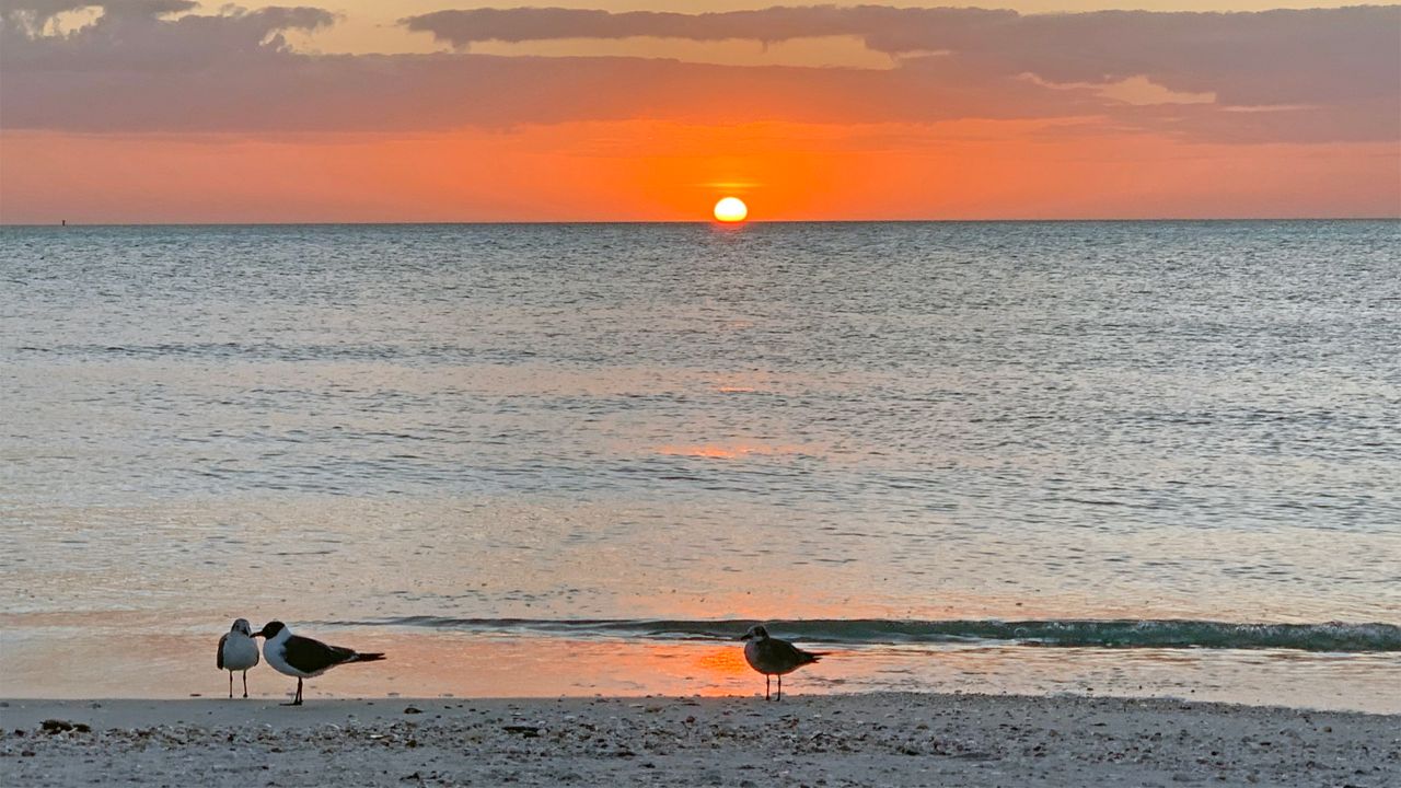 It was a lovely sunset at Pass-A-Grille Beach on Sunday, March 8, 2020. (Photo courtesy of Halida Mennicken, view)