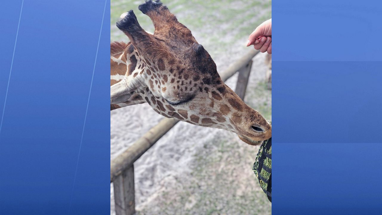 Experience Kissimmee Holds Town Hall on Coronavirus