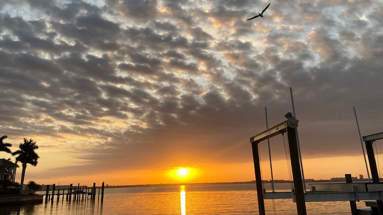 It was a beautiful start of Saturday, March 21, 2020. (Photo courtesy of Heidi Lepley, view)