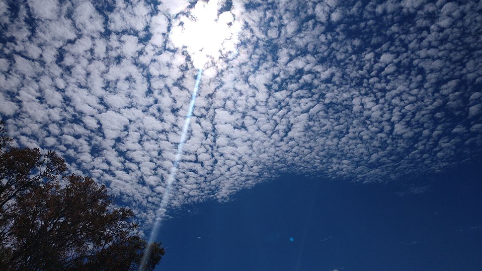 Submitted via the Spectrum Bay News 9 app: Clouds fill the sky over Weeki Wachee, Sunday, March 3, 2019. (Courtesy of viewer Nancy Basara)