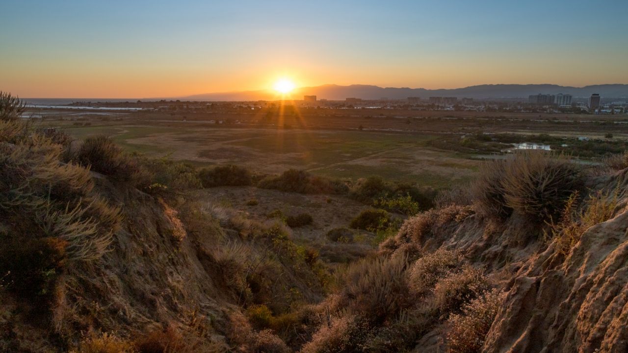 Ballona Wetlands 