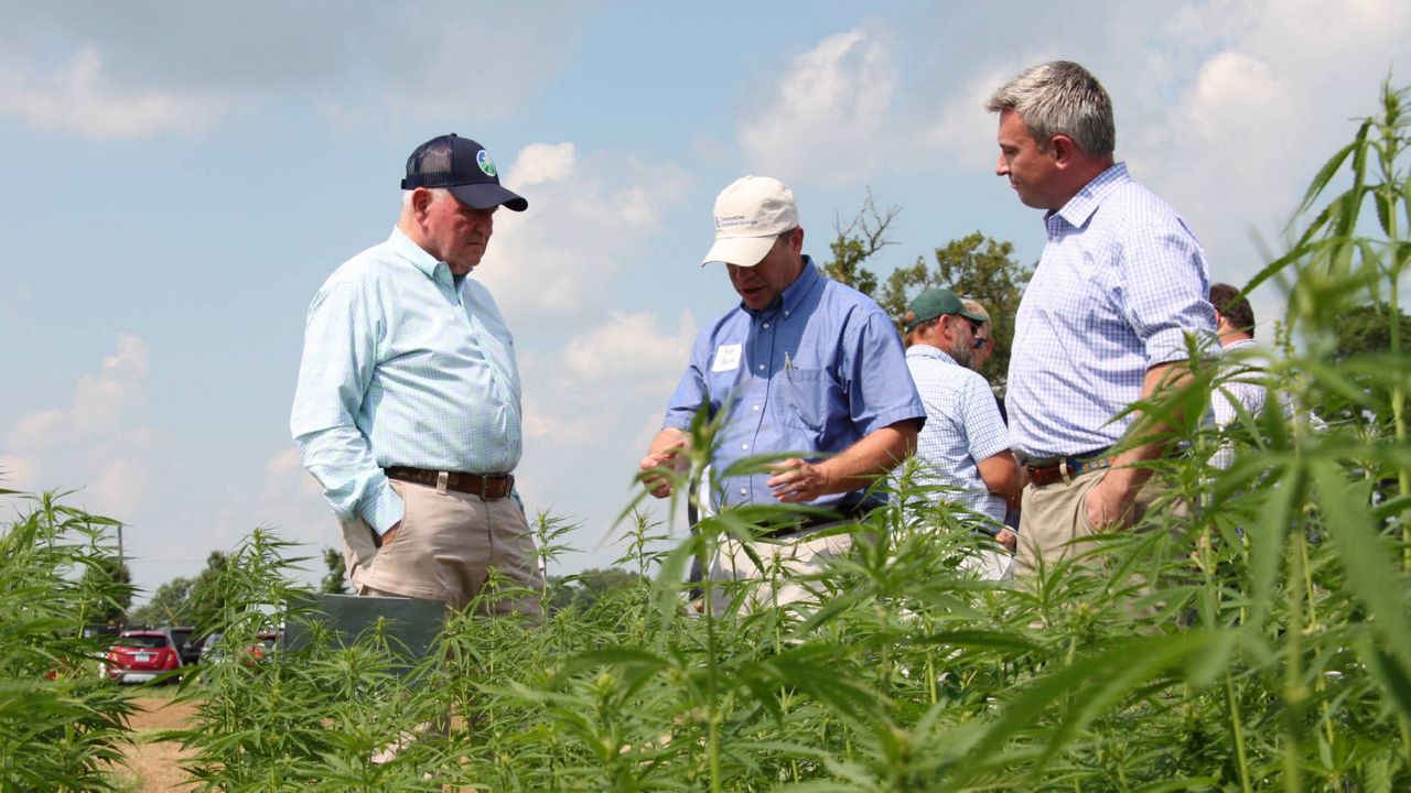 KY Agriculture Commissioner Ryan Quarles Praises USDA's New Hemp Rule