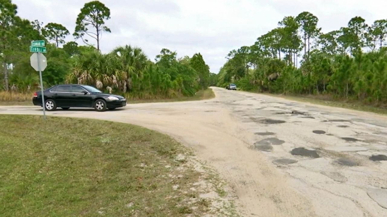 Palm Bay residents say they are worried their quiet nature view will soon be obstructed by a communications tower. (Krystel Knowles/Spectrum News 13)