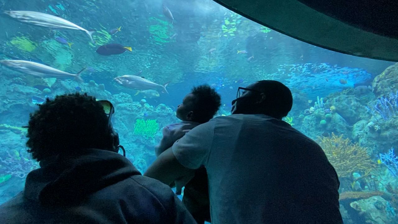 aquarium of the pacific map