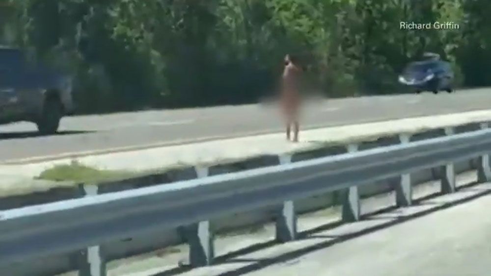 Richard Griffin says the woman and a man were trying to catch a dog on I-95. She was without clothing. (Richard Griffin, Viewer)