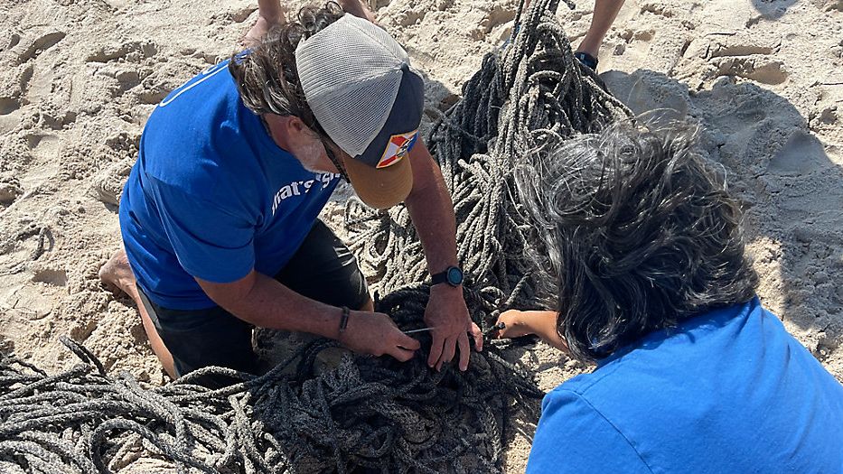 Volunteers gather to remove mystery rope from Brevard beach - News 13 Orlando