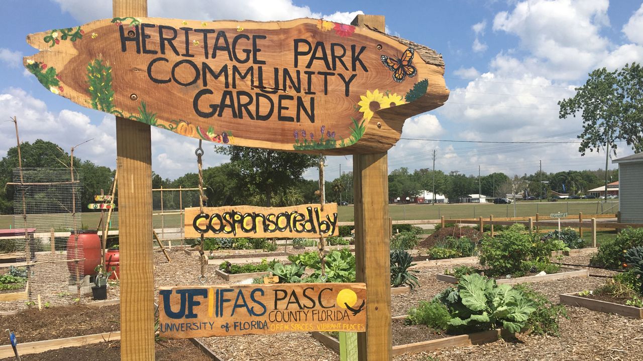 covid-19-concerns-highlight-importance-of-community-gardens